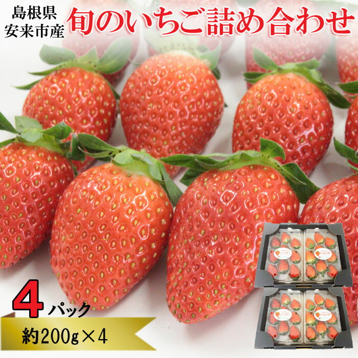 【ふるさと納税】早期予約 農場長厳選の美味しいいちご 800g 200g×4パック 苺 詰め合わせ 島根県 安来市産 かおり野 紅ほっぺ よつぼし スターナイト やよいひめ セット
