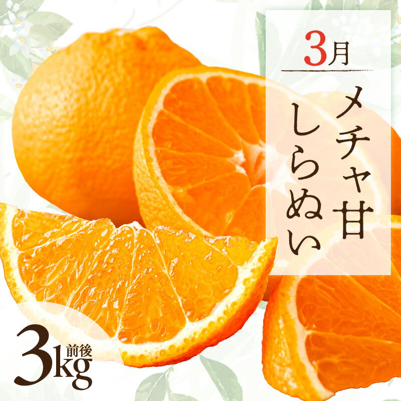 【ふるさと納税】【2027年発送先行予約品】高評価★5.00 3月の御浜柑橘 メチャ甘しらぬい 3kg前後 │ フルーツ 果物 みかん 不知火 しらぬい シラヌイ 旬 おいしい 産地直送 春 旬
