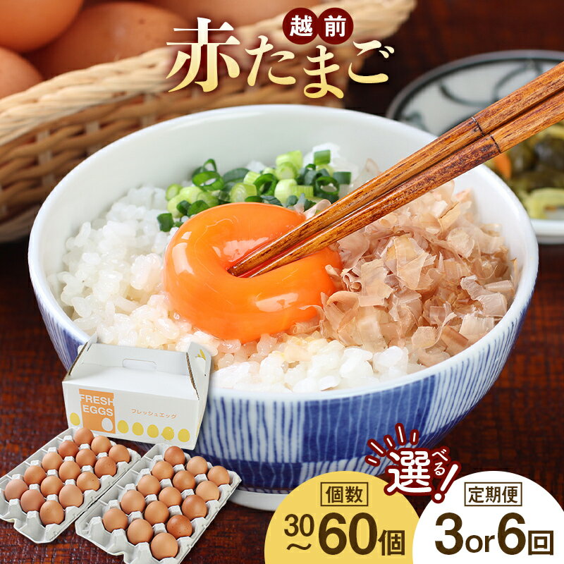 賞味期限20日！ミネラルを豊富な越前赤玉子50個（45個＋卵割れ補償5個）＊北海道・沖縄県 配送可能 / 送料無料 福井県 越前市 卵 たまご タマゴ ヨード 訳あり