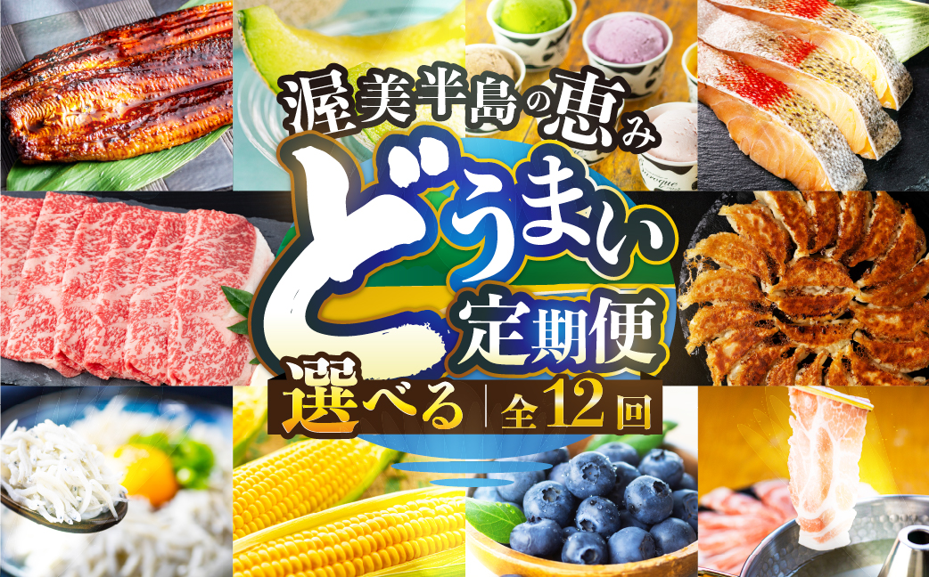 渥美半島の恵み  定期便 12回 旬のおまかせコース　 肉 海鮮 農産物 ( うなぎ / ブランド豚 / メロン / しらす/ 餃子 / ジェラート / とうもろこし / 焼き鳥 / トマト / 牛肉 / 蒲焼 ) 12ヶ月 1年 鰻 ウナギ 蒲焼 高評価 お楽しみ フルーツ 海鮮 果物 どうまい 人気 田原市 豚肉 マスクメロン ミニトマト 名古屋コーチン