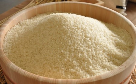 新潟県産 コシヒカリ 5kg 精米 三条市下田 令和7年 コシヒカリ