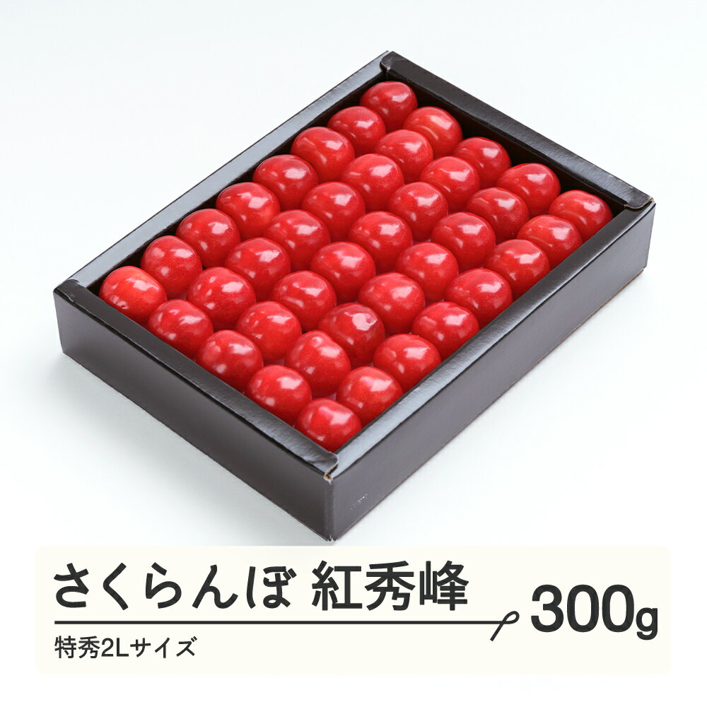 【ふるさと納税】《先行予約》さくらんぼ 紅秀峰 特秀2Lサイズ 300g 化粧箱鏡詰め 2026年産 令和8年産 山形県産 送料無料 ns-bst2x300