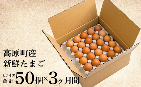 九州産 産地直送たまご『きみの力(チカラ)』の定期便(年3回) Lサイズの卵を3ヶ月間×50個お届け [大容量 大玉 玉子 国産 日本産 高原町産 産直 新鮮] 特番416