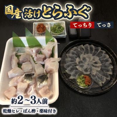 ふるさと納税 富田林市 ふぐ鍋セット　国産活けとらふぐてっさ・てっちりセット約2〜3人前　ヒレ付き【配送不可エリア注意】