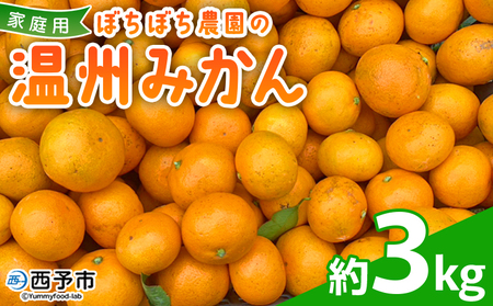 ＜ぼちぼち農園の温州みかん 家庭用 3kg＞ 3キロ うんしゅうみかん 温州ミカン 訳あり わけあり ワケアリ 果物 みかん ミカン 柑橘 フルーツ 国産 特産品 ぼちぼち農園 愛媛県 西予市【常温】『2026年11月～12月迄に順次出荷予定』ABB0001