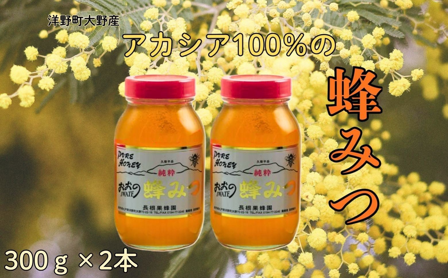 
                  大野産アカシアはちみつ300ｇ×2本
                
