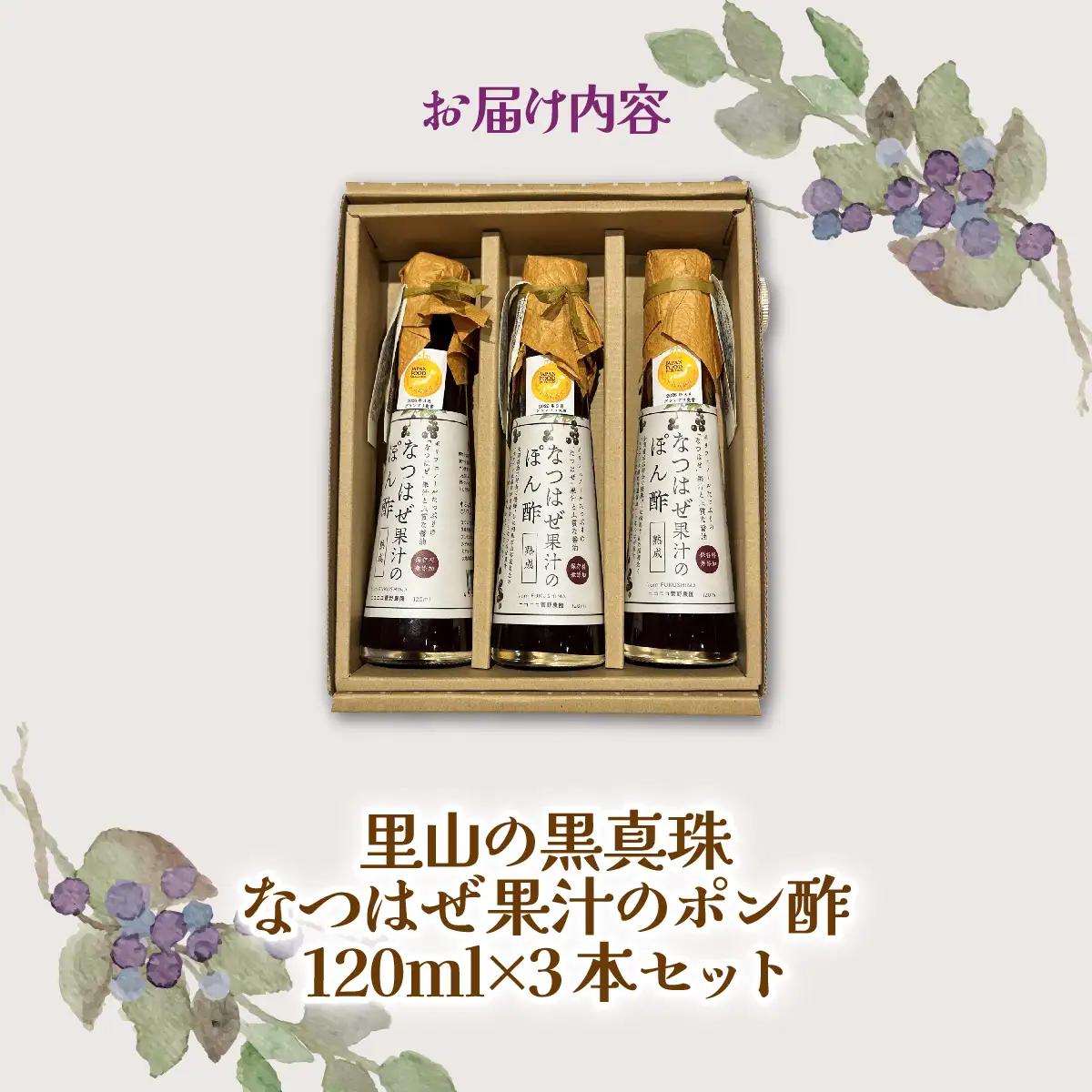 【ジャパン・フード・セレクション グランプリ受賞！】なつはぜ果汁のポン酢120ml×３ ITTAA004