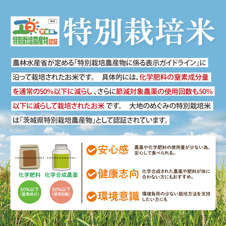【3ヶ月定期便】茨城県特別栽培認証 清明川コシヒカリ玄米 5kg【米 おこめ こしひかり  特別栽培米 農家直送 直送 茨城県 阿見町】（04-21）
