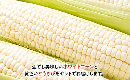 とうもろこし 食べ比べ 富良野産とうもろこし 黄6本・白6本セット 北海道 富良野 ふらの コーン とうきび トウモロコシ ホワイトコーン 野菜 甘い