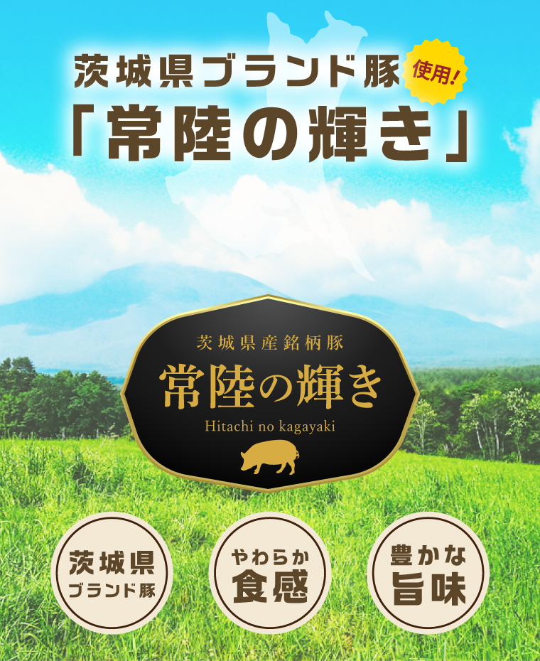 常陸の輝きDLG コンテスト 受賞 商品 詰め合わせ【贈答用(熨斗対応可)】豚肉 お取り寄せ グルメ 人気 冷蔵 詰め合わせ ギフト おかず ご当地グルメ ディナー 食べ比べ パーティー【茨城県共通返