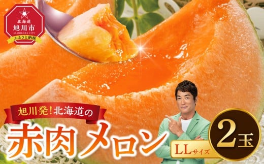 【先行予約】北海道産 赤肉メロン LLサイズ 2玉（計4.0kg以上）(2025年7月上旬発送開始予定) 【 果物 くだもの フルーツ メロン 赤肉 赤肉メロン 旬 お取り寄せ 甘い 北海道産 旭川市 北海道 送料無料 】_02099