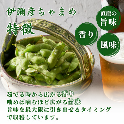 《先行受付》≪レンジ対応袋≫新潟夏の味覚!濃厚な甘さと芳醇な香り『伊彌彦ちゃまめ』【弥彦村特産】新潟【配送不可地域：離島】