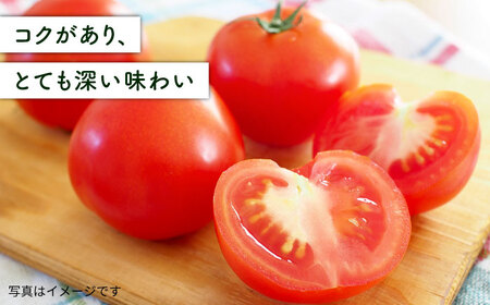 【先行受付】【全3回定期便】糸島産 絶品トマト かれん (4kg28玉前後) 【2025年12月上旬以降順次発送】糸島市 / シーブ 野菜 とまと 大玉トマト [AHC066]