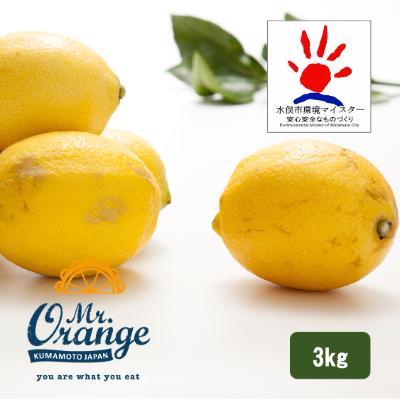 ふるさと納税 水俣市 環境マイスターと七面鳥が育てた「レモン」約3kg