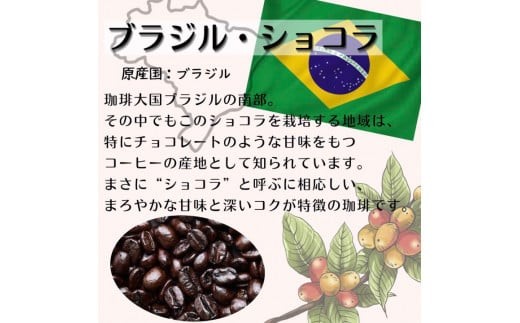 【定期便】自家焙煎 人気珈琲豆 3種セット（6か月）（挽き）