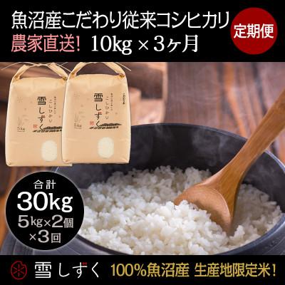 ふるさと納税 十日町市 【毎月定期便】魚沼産こだわり従来コシヒカリ  10kg(5kg×2袋)×3回 合計30kg全3回