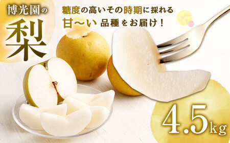 【9月発送分】 梨 4.5kg 豊水 20世紀 新高 新興 果物