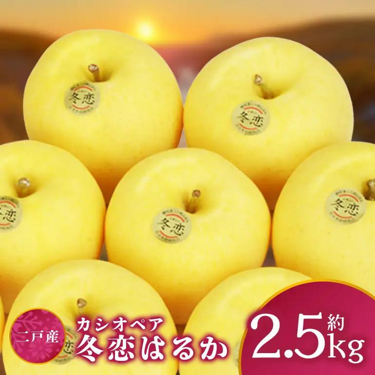 二戸産 カシオペア 冬恋はるか 約2.5kg 【2026年12月上旬-下旬発送予定】 002-0746x1