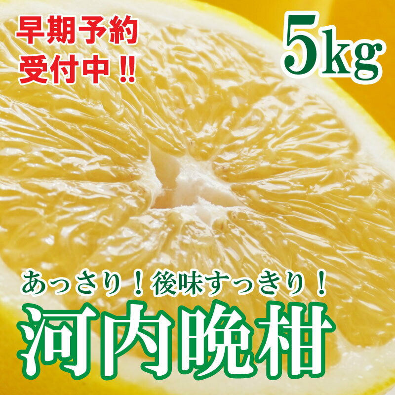 【ふるさと納税】 【先行予約 2026年6月ごろ発送開始】 河内晩柑 ばんかん 約 5kg 家庭 柑橘 かんきつ フルーツ 果物 くだもの 厳選 愛媛 みかん 蜜柑 愛南 ご当地 ブランド 野菜 サラダ ピール ゼリー お菓子 デザート マルエム直販 (なくなり次第終了)