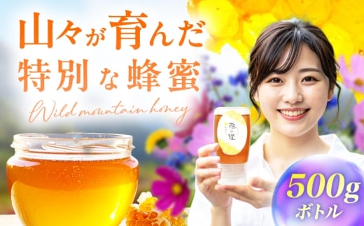 野山みつ 1本（500g）　広川町 / 株式会社九州蜂の子本舗 [AFAI045]