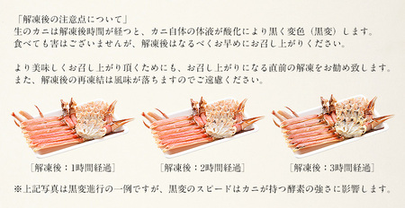 【最短発送】 カット済み生ずわい蟹 約1kg 3L ＆ 4L サイズ厳選 【お手軽 生食可 蟹 カニ かに 冷凍】 [e70-a002_00]