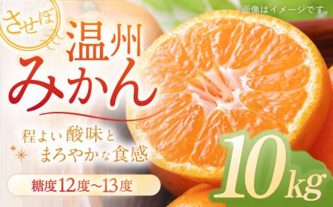 させぼ温州みかん 10kg / 柑橘 フルーツ 温州ミカン かんきつ【おだ農園】 [OAG007]