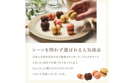 ＜シーキューブ＞サクッチ・ホロッチ　12個入　CSC-12RC