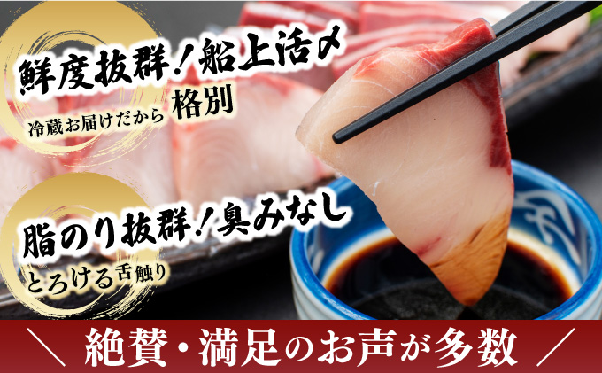 KU281-1-2510 ＜2025年10月発送分＞活じめ！黒瀬ぶりの生鮮ブリロイン2節（400g前後）