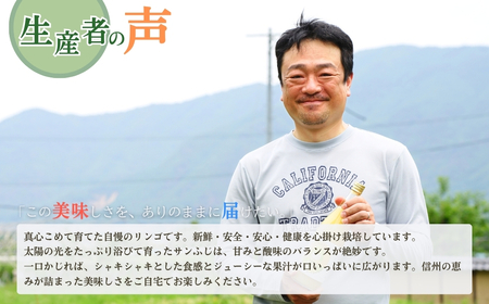【2026年先行予約】りんご サンふじ 約10kg＜中島農園＞|りんご