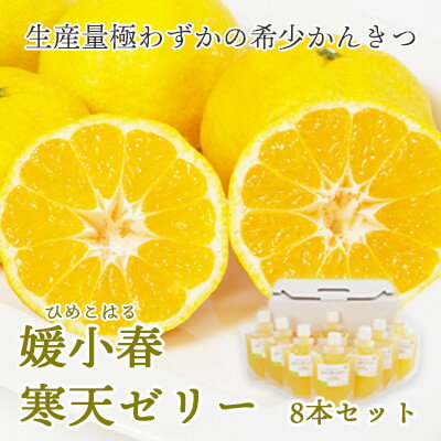 【ふるさと納税】ゲル化剤・pH調整剤不使用!愛媛産 媛小春寒天ゼリー(8本/12本/30本)【G1305617】