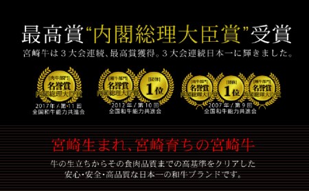 ＜宮崎牛＞赤身肉セット 合計700g ※90日以内発送【D82】