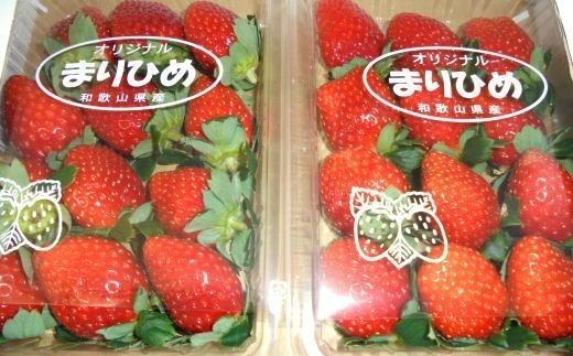 【1月発送】和歌山県産ブランドいちご「まりひめ」約300g×4パック入り【北海道・沖縄県・離島配送不可】【上富田町産】