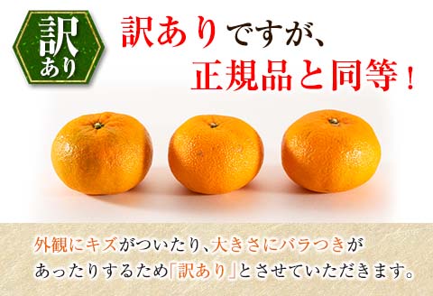 先行予約 訳あり 西南のひかり 5kg ご家庭用 みかん オレンジ フルーツ 果物 くだもの 柑橘 果実 果肉 デザート おやつ 国産 食品 おすそ分け おすそわけ 自宅用 人気 おすすめ 宮崎県 日