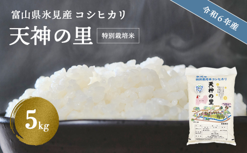 令和6年産 富山県産 特別栽培米 コシヒカリ 天神の里 ５kg