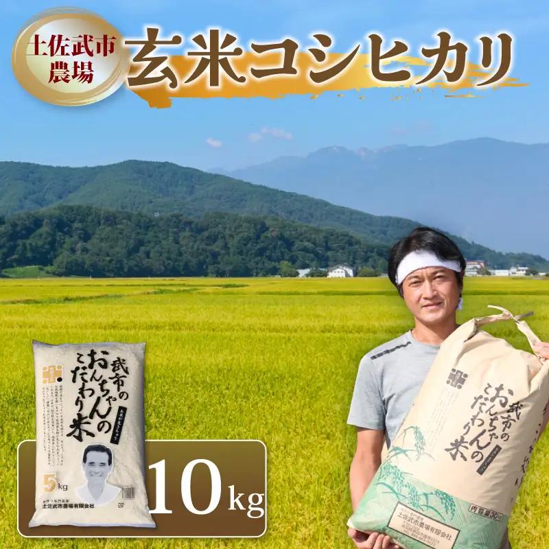 【先行予約】 新米 令和8年度 コシヒカリ 玄米 10キロ