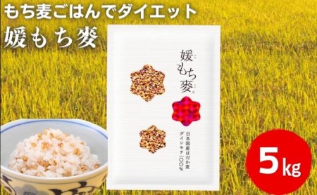 もち麦セット 媛もち麥 押しはだか麦 愛媛県産 もち麦セット【もち麦5kg はだか麦300g】