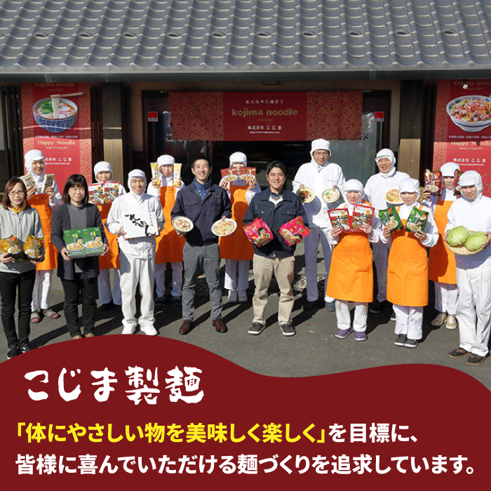 【長崎本場の味】スープ付き皿うどんファミリーパック８人前 / 皿うどん 贈り物 お取り寄せ お土産 本場 / 南島原市 / こじま製麺 [SAZ024]_イメージ4