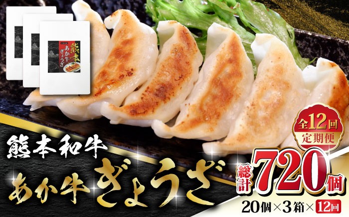 
                  【全12回定期便】熊本和牛 あか牛ぎょうざ 20個×3箱【有限会社 三協畜産】 九州産 国産 赤身 赤牛 褐牛 あかうし 褐毛和種  冷凍 国産  餃子  [ZEB092]
                