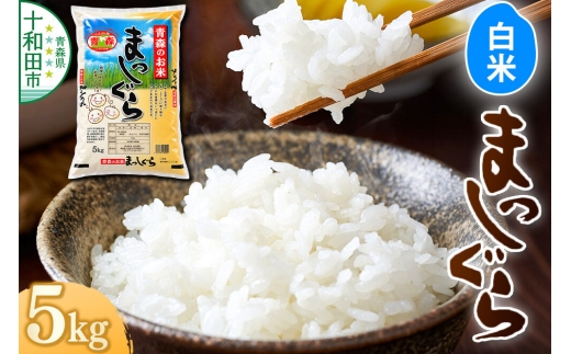 令和8年産 十和田市産まっしぐら 白米 5kg 青森県産 [ごはん 精米 米 5kg袋]
