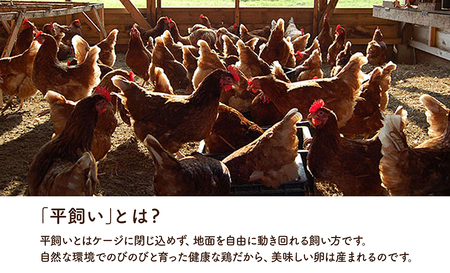 永光農園の平飼い有精卵　35個+割れ保証5個　卵