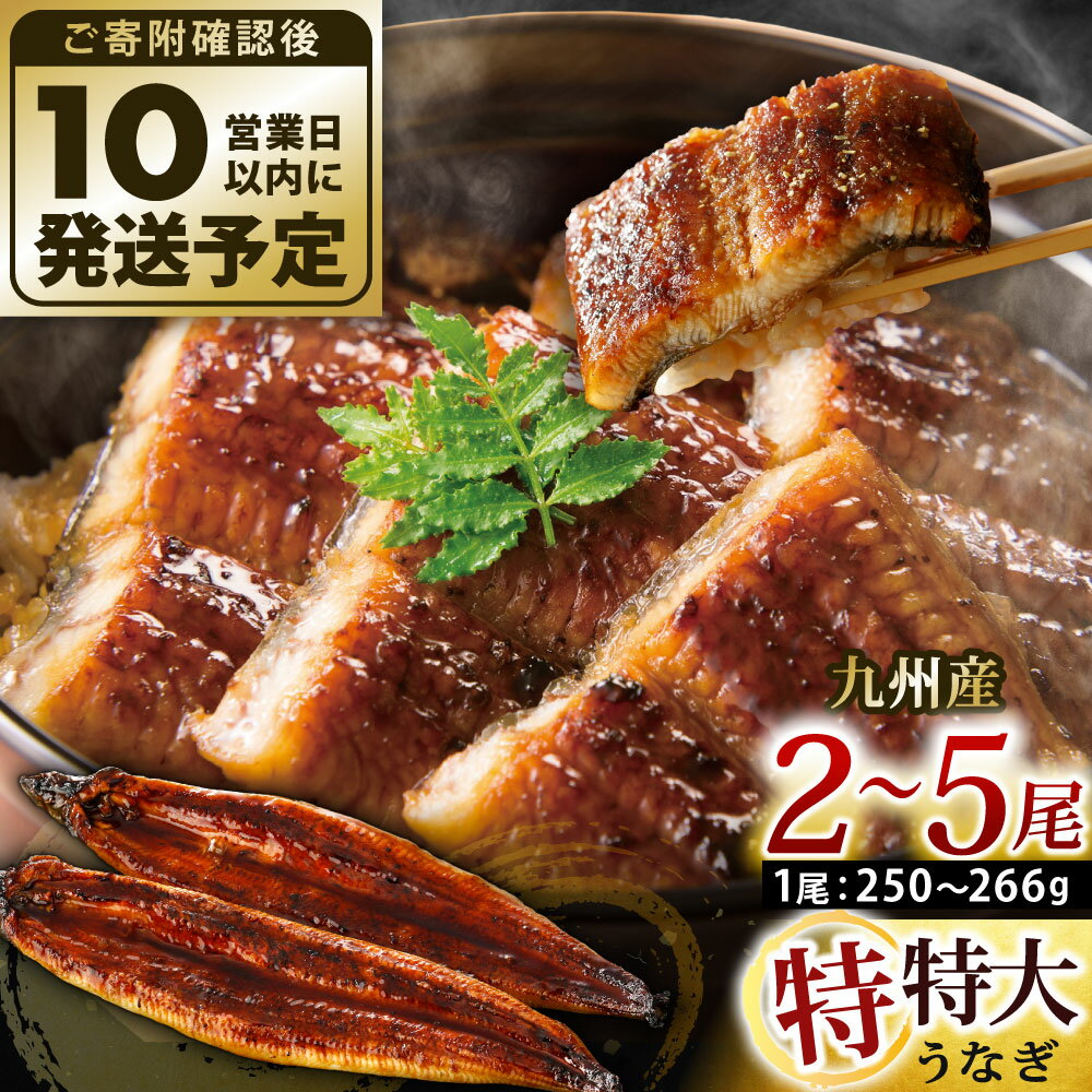 【ふるさと納税】九州産 うなぎ蒲焼 特特大 ＜選べる＞2尾/3尾/4尾/5尾 (1尾あたり250～266g) たれ・山椒付き 鰻 ウナギ 蒲焼き 特大 大きい 冷凍 国産 送料無料 鹿児島、宮崎、熊本等産うなぎ原料使用