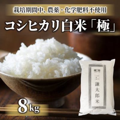 【太陽と大地】八重原産コシヒカリ白米「極」(栽培期間中農薬化学肥料不使用)8kg