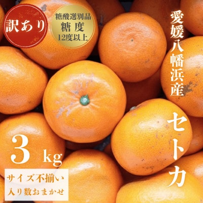 ＼みかんの大トロ/糖度12.0以上酸1.4以下 糖酸選別品 訳あり 愛媛セトカ3kg【C20−14】【1094586】