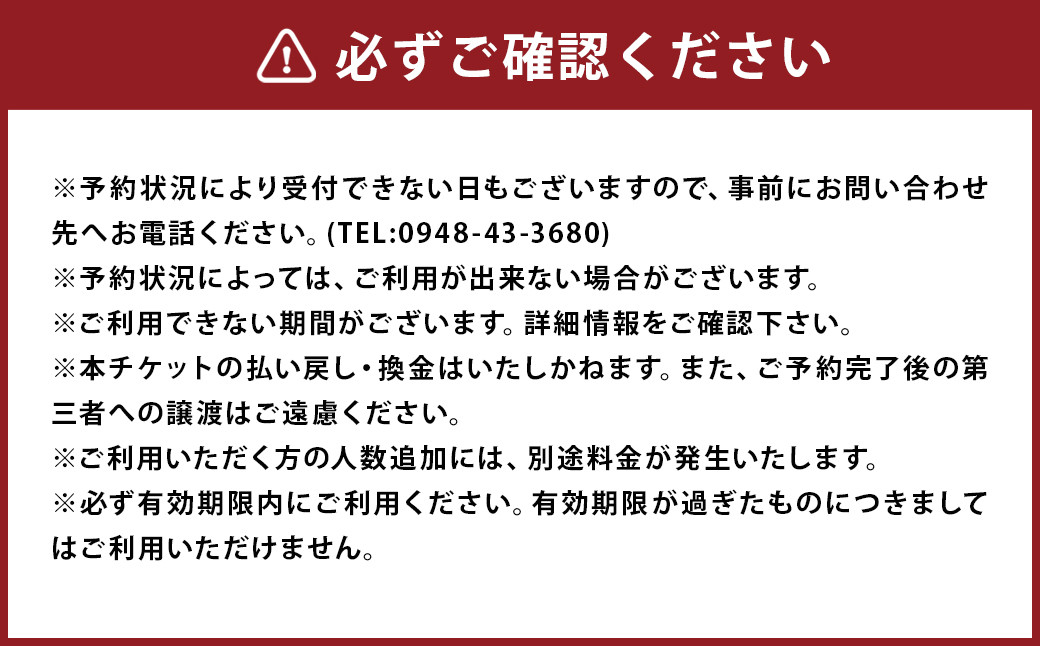 清流が流れる渓谷を下流から上流へと登る シャワークライミング体験チケット