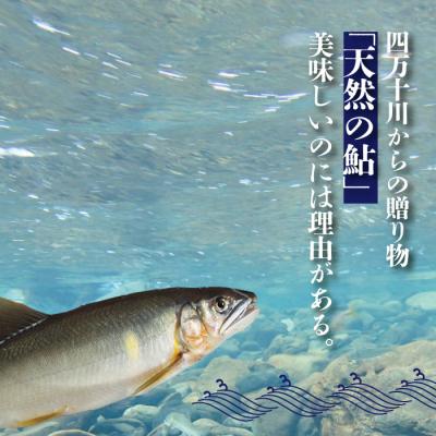 ふるさと納税 四万十市 【4回定期便】鮎づくし!清流四万十川で育った天然鮎の定期便 R6 |  | 03