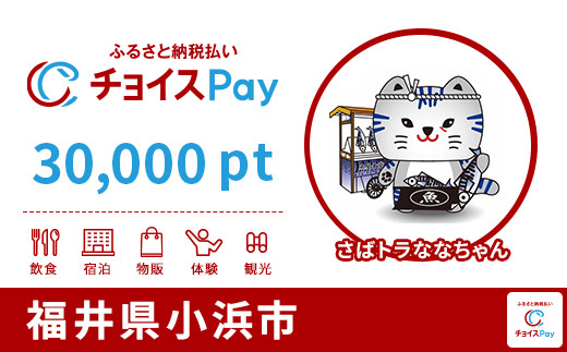 
            小浜市チョイスPay 30,000pt【会員限定のお礼の品】
          