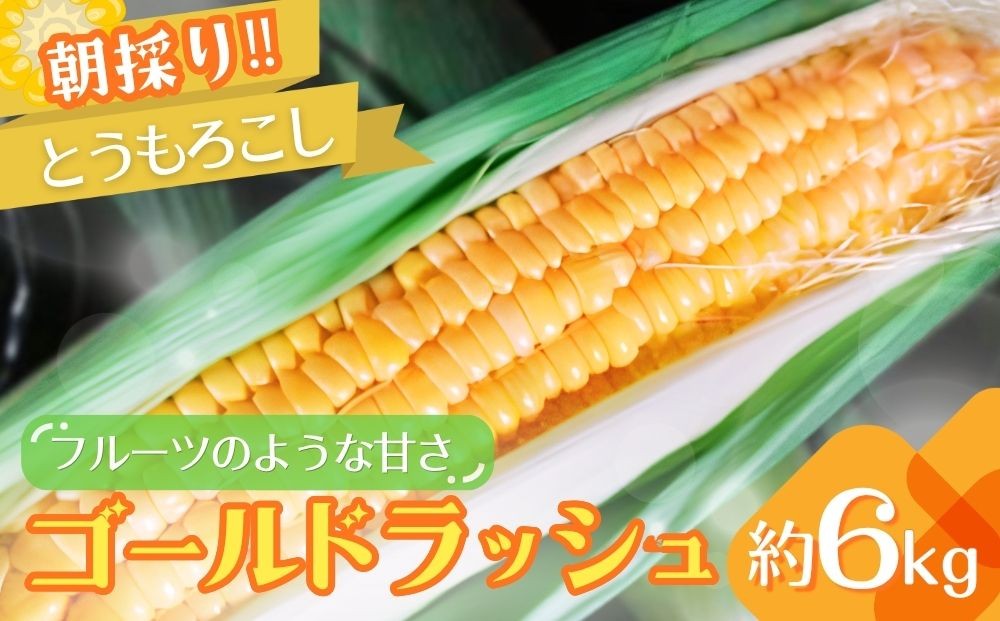 
                  朝採りとうもろこし　ゴールドラッシュ　約6kg | トウモロコシ とうもろこし もろこし コーン スイートコーン 甘い 人気 朝採り 新鮮 産地直送 生産者直送 贈答 贈り物 ギフト お土産 期間限定 数量限定 送料無料 茨城県 古河市 _GJ01 ※2026年7月～発送
                