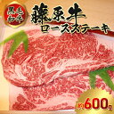 【ふるさと納税】黒毛和牛 藤原牛 ロースステーキ 約600g（2024年9月中旬より順次発送）【 牛肉 お肉 国産 藤原牧場 ブランド牛 広島牛 4等級 安心 品質 ステーキ用 】※離島への配送不可