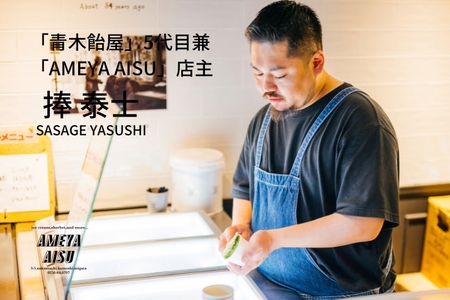 【定期便6ヶ月毎月お届け】AMEYA AISU アイスクリーム＆シャーベット おまかせギフトボックス 10個入 【 アイスクリームのギフトセット アイスクリーム シャーベット ジェラート 昔懐かしい小