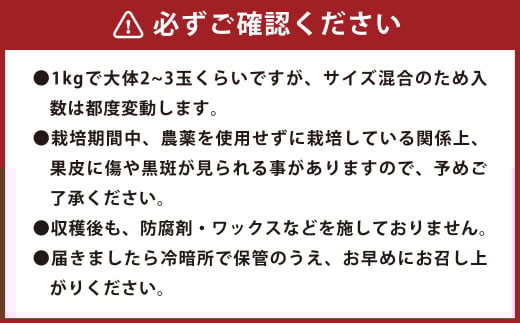 環境マイスターのパール柑 良品・訳あり混合 4kg